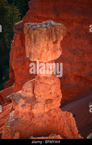 Stati Uniti d'America, Utah, il Ruby's Inn, Bryce Canyon, Thor del martello sul monolito Navajo Loop Trail vicino al punto del tramonto. Foto Stock