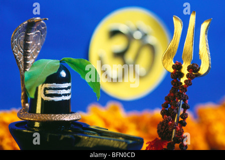 Mahashivaratri signore Shiva festival India Foto Stock