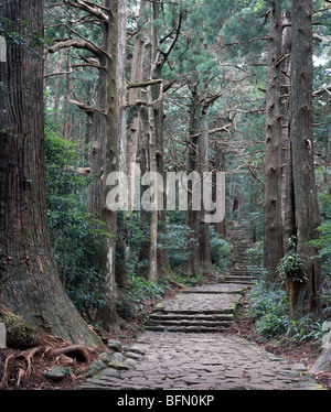 Kumano Kodo Daimonzaka Hill, Nachi Katsuura, Wakayama, Giappone siti sacri e itinerari di pellegrinaggio nella catena montuosa di Kii Foto Stock