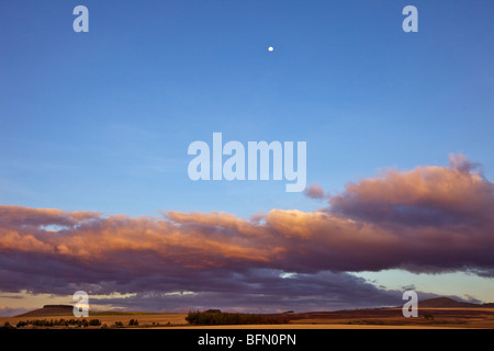 Kenya,Timau. Ultima luce di laminazione su terreni agricoli a Timau con la luna piena alta nel cielo. Foto Stock