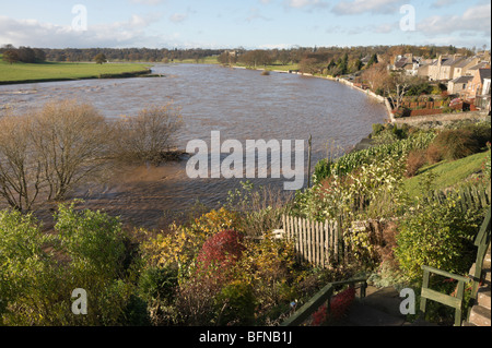 Fiume Tweed inondazioni in Kelso 2009 Scotland raggiunge il giardino pareti ma case sono sulla terra superiore e di riverbank prende acque alluvionali Foto Stock