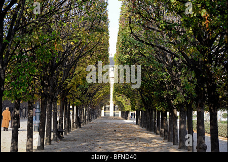 Palais Royal Garden, 75001, Paris, Ile-de-France, Francia Foto Stock