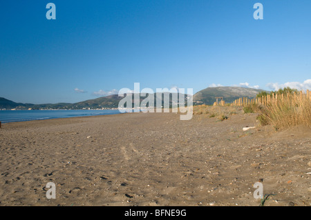 Zante Zante La spiaggia di Kalamaki a Laganas. Spiaggia di nidificazione della tartaruga marina Caretta - Caretta) Foto Stock