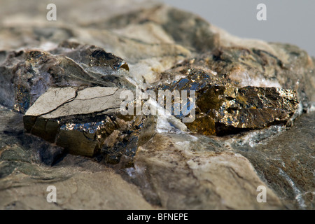 Close up della pirite o fools gold come la sua chiamata anche incorporato nel frammento di roccia Foto Stock