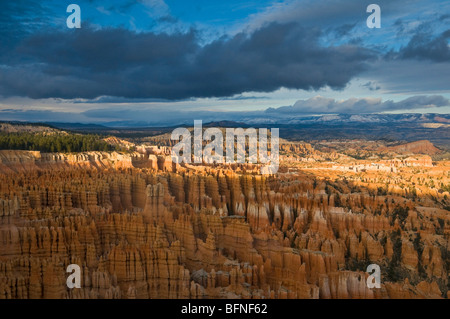 Bryce National Park nello Utah Stati Uniti d'America sud-ovest Foto Stock