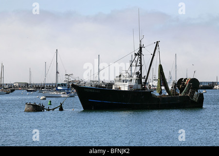 La pesca nave ormeggiata presso il porto turistico di Monterrey, in California. Foto Stock