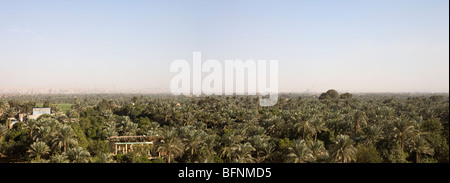 Panoramica della vista della terra fertile preso dalla collina a Saqqara, vicino al Cairo in Egitto Foto Stock