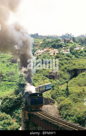 Treno giocattolo , motore a carbone di vapore , Ferrovia della montagna di Nilgiri , Ooty , Udhagamandalam , Nilgiris , Ghat occidentali , Tamil Nadu , India , Asia Foto Stock