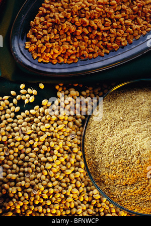 semi di fieno con polvere di coriandolo e semi in ciotole Foto Stock