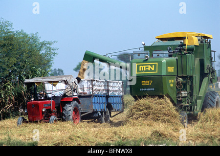 Mietitrice per la raccolta del grano nel campo Gurudaspur Punjab India asia agricoltura indiana Foto Stock