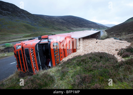 Capovolto merci pesanti camion di legno che spillano legno segheria rifiuti di legno sfuso trucioli di legno. Incidente stradale sulla A93 Braemar per Glenshee Road, Scozia, Regno Unito Foto Stock