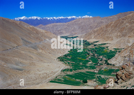 Chantara ; Chantasha ; Ladakh ; Jammu e Kashmir ; India ; asia Foto Stock