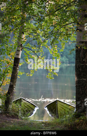 Barche a remi verdi con remi, Finlandia Foto Stock