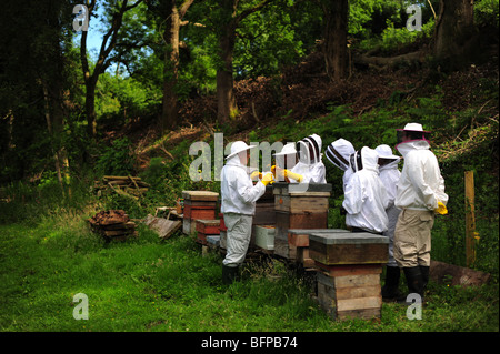 Bee detentori di incontro e di lavoro con le api e alveari in una fattoria in Dorset Foto Stock