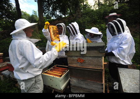 Bee detentori di incontro e di lavoro con le api e alveari in una fattoria in Dorset Foto Stock