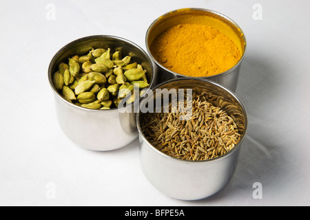 Cardamomo Pod semi di curcuma e cumino in pentole di spezie in acciaio inox Foto Stock