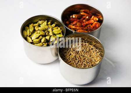 Cardamomo Pods Birds Eye Chilis e Cumin semi in acciaio inox pentole spezia Foto Stock