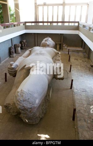 Il colosso di Ramesse II entro il museo a resti di Memphis nel villaggio di Mit Rahina, Egitto Foto Stock