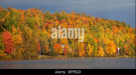 In autunno le foreste del Quebec, Canada Foto Stock