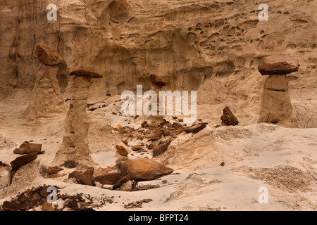 Formazioni geologiche di hoodoos nel Rimrock Hoodoo bacinella sul suolo pubblico in Utah, Stati Uniti d'America Foto Stock