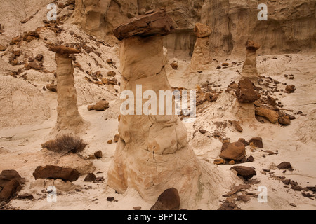 Formazioni geologiche di hoodoos nel Rimrock Hoodoo bacinella sul suolo pubblico in Utah, Stati Uniti d'America Foto Stock