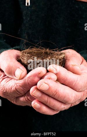 Close up di uccelli prossima essendo trattenuto da senior mans mano Foto Stock