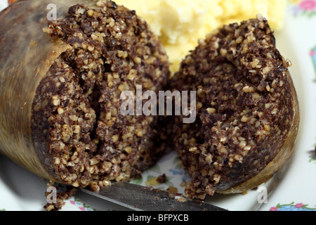 Vista di una cotta haggis scozzese che è stato affettato aperto. Foto Stock