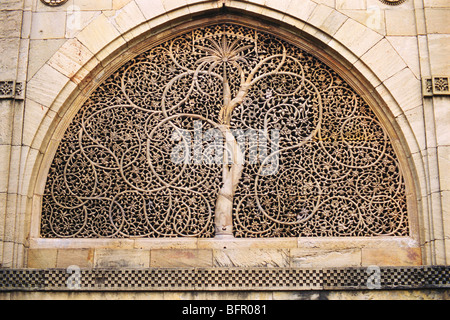 Albero della vita jali, Moschea di Sidi Saiyyyed, Moschea di Sidi Saiyyid ni Jali, Moschea di Sidi Saiyad, Ahmedabad, Gujarat, India Foto Stock