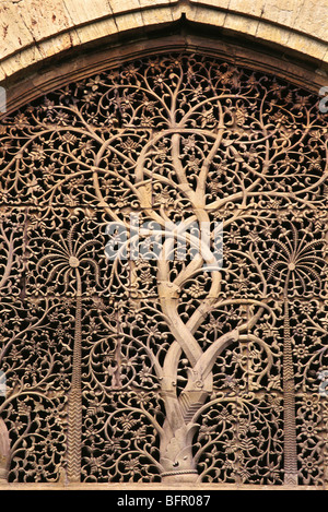 Albero della vita Jali nella Moschea di Sidi Saiyyed, Sidi Saiyyid ni Jali, Ahmedabad, Gujarat, India, Asia Foto Stock