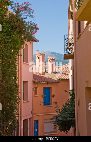 La città vecchia, Moure, Collioure, Pirenei Orientali Francia Foto Stock