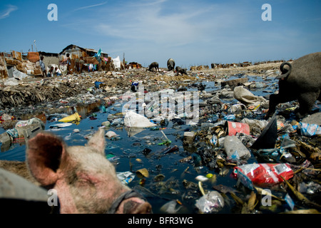 Sociale e le condizioni di vita nelle baraccopoli di Haiti come il Cite soleil (Port-au-prince) sono una tragedia umana. Foto Stock