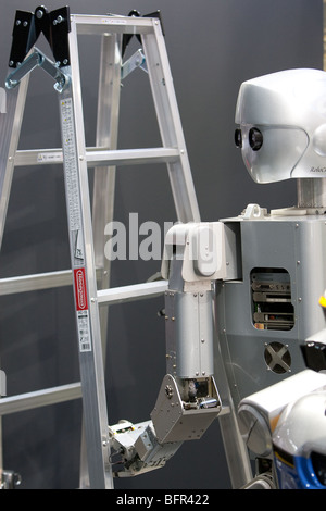 Robot Umanoidi, prodotta da Kawada, sul display all'International Robot Exhibition 2009, a Tokyo, Giappone Foto Stock