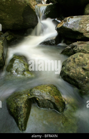 Un fiume impetuoso sulle rocce in Hogsback Foto Stock