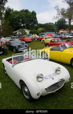 Un 1960 Austin Healey Frogeye "' Sprite al VCCSA (Veteran Car Club del Sud Africa) in Kloof. Foto Stock