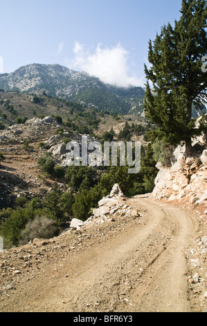 dh Metaxochori zona IERAPETRA GRECIA CRETE Cretan Dikti strada di montagna pista e pini paesaggio deserto Foto Stock