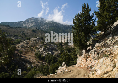 dh Metaxochori zona IERAPETRA GRECIA CRETE Cretan Dikti catena di sentieri e alberi di pino paesaggio Foto Stock