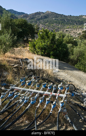 Dh Mythi agricoltura area Grecia CRETA acqua tubi di giunzione irregation dosaggio alimentazione idrica per gli oliveti Foto Stock