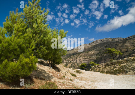 Dh IERAPETRA Grecia CRETA abete e Dikti cretese montagne Foto Stock