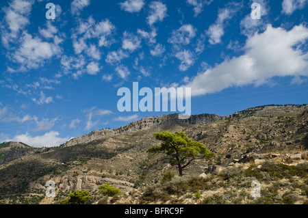 Dh IERAPETRA Grecia CRETA abete e Dikti cretese mountain range Foto Stock