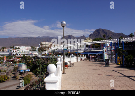 LA PASSEGGIATA NOSTALGICA DI PLAYA DE TORVISCAS. COSTA ADEJE TENERIFE. ISOLE CANARIE. 2009 Foto Stock