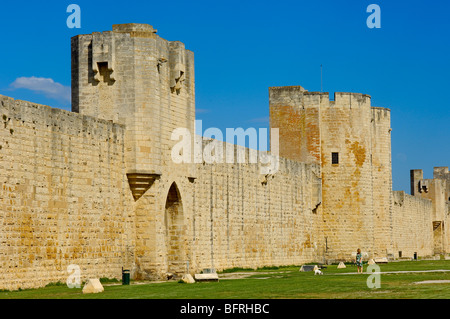 Aigues Mortes pareti( Petit Camargue), Gard dipartimento Languedoc Roussillon regione. Francia Foto Stock