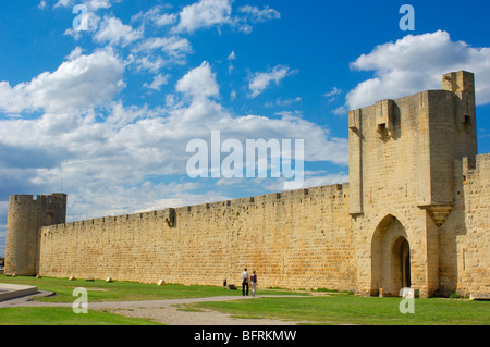 Aigues Mortes pareti( Petit Camargue), Gard dipartimento Languedoc Roussillon regione. Francia Foto Stock