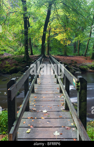 Passerella sul Hebden acqua a Hardcastle Crags, falesia Vale, Heptonstall, Calderdale, West Yorkshire, Regno Unito Foto Stock