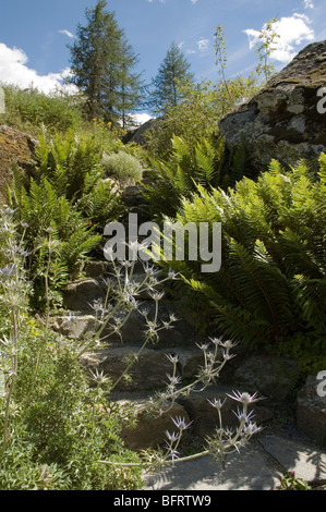 Parco Nazionale Gran Paradiso, Giardino Botanico Alpino Paradisia, Cogne, Valle d'Aosta, Italia Foto Stock