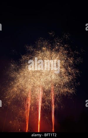 Fuochi d'artificio Foto Stock