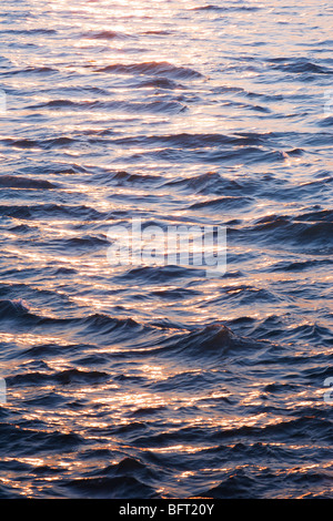 Piccole onde sull'acqua Foto Stock
