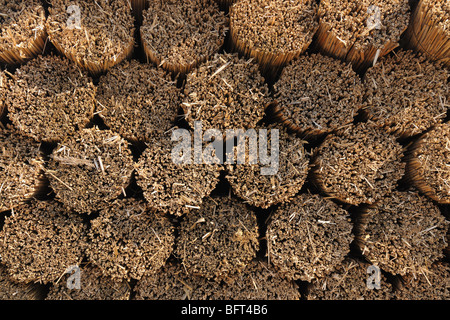 Essiccamento Reed, Burgenland, Austria Foto Stock