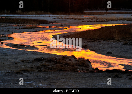 Tantalo Creek nel bacino di porcellana al tramonto, il Parco Nazionale di Yellowstone, Wyoming USA Foto Stock