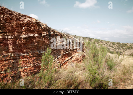 Close-up di roccia e piante, Autostrada 67, Texas, Stati Uniti d'America Foto Stock