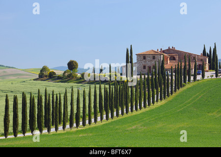 Agriturismo, Val d'Orcia, Toscana, Italia Foto Stock